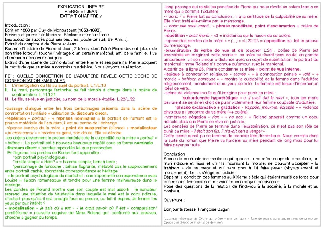 Résumé et Questionnaire Corrigé Pierre et Jean - Chapitre V