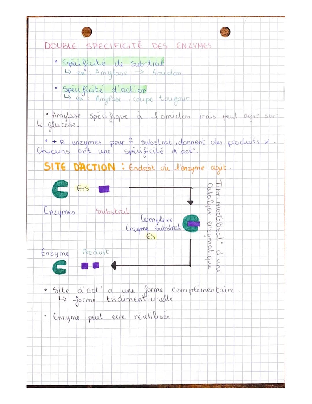 。
Chapitre 5 bes enzymes, des biomolécules aux
proprietés cataly tiques.
Enzymes interviennent dans le
metabolisme.
METABOLISME: ensemble de