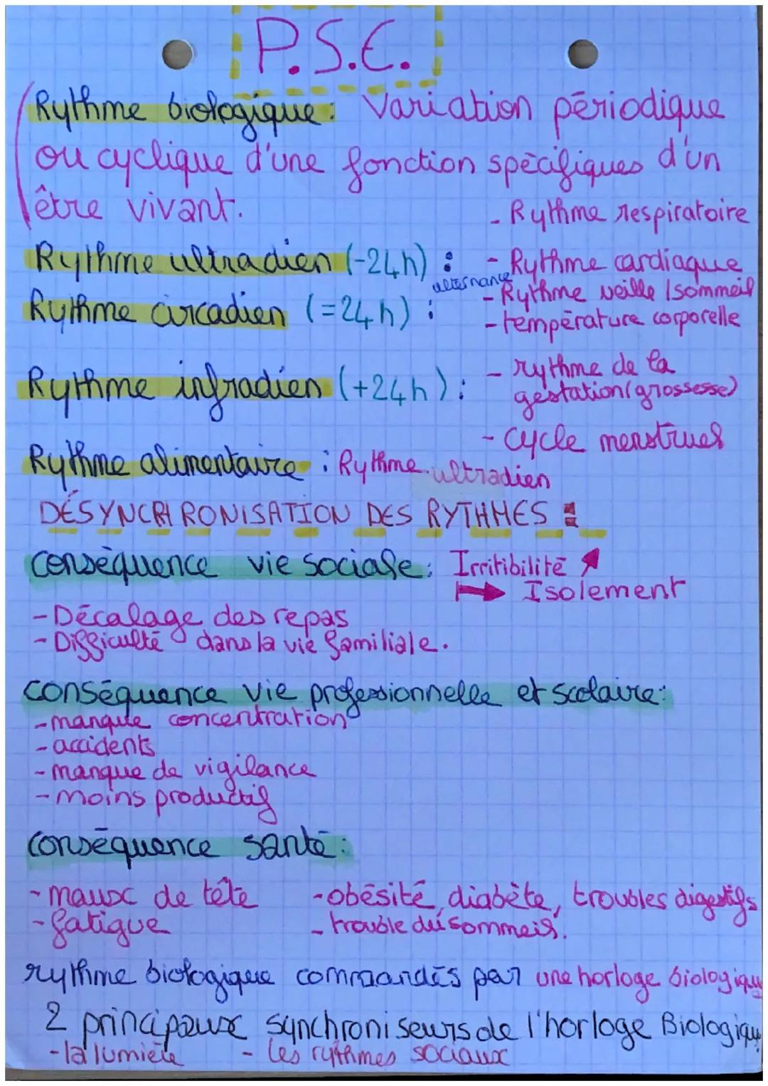 Le sommeil (suite)