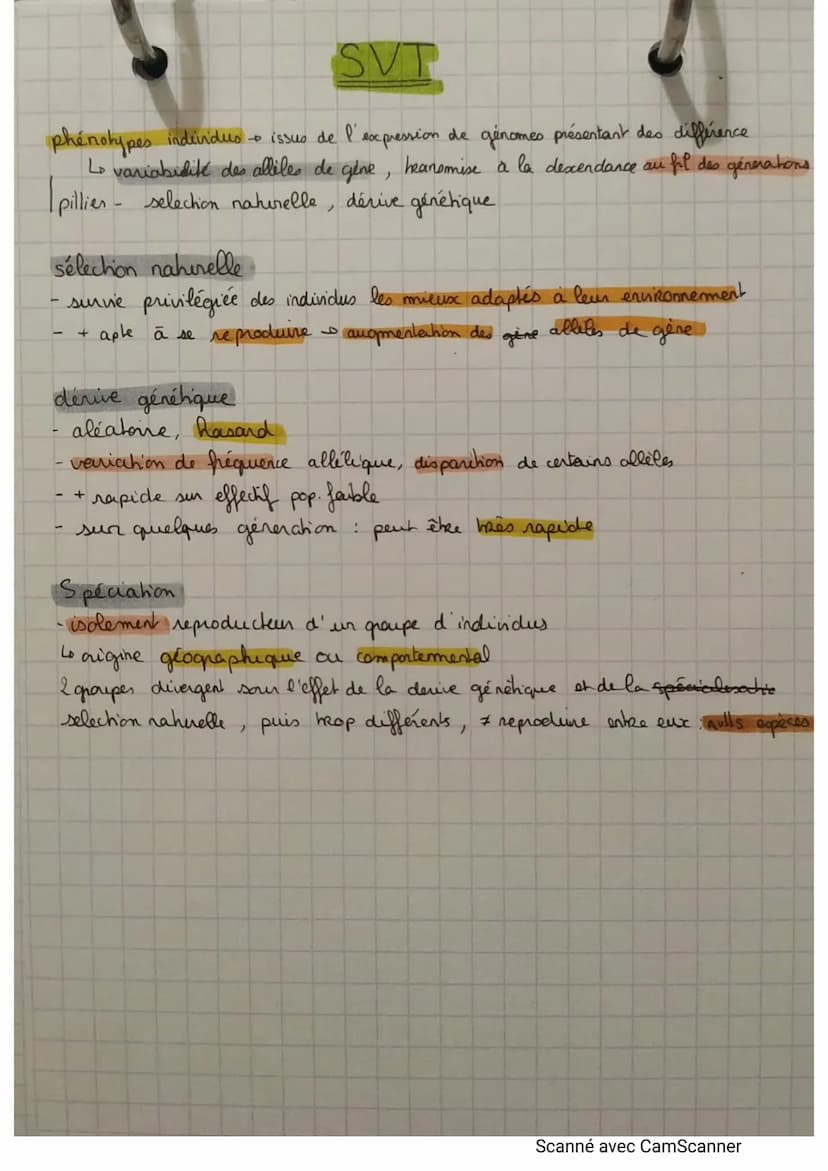 SVT
metabolisme ensemble des réactions chimiques dans une cellule
3 transformations
euglines
Žl & a
glucose CO₂
respiration cellulaire
pon
d