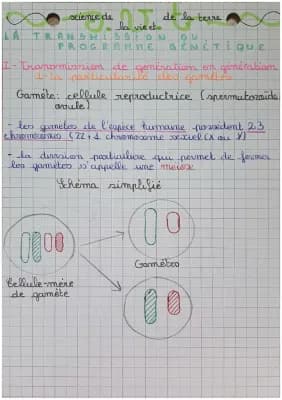 Know La transmission du programme génétique  thumbnail