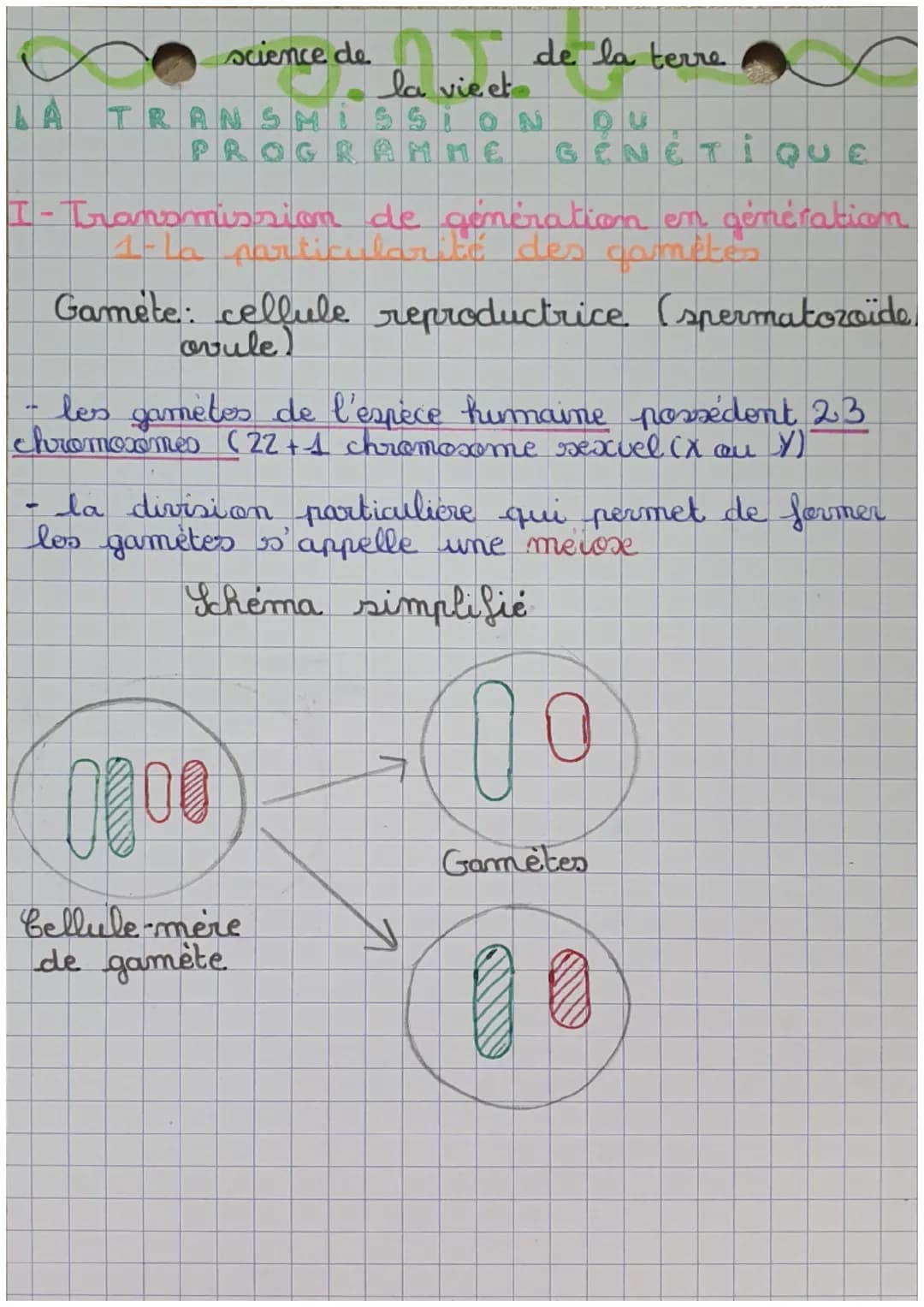 AA
science de
la vie et
1
de la terre
TRANSMISSION
GÉNÉTIQUE
I- Transmission de génération en génération
1-la particularité des comités
Game