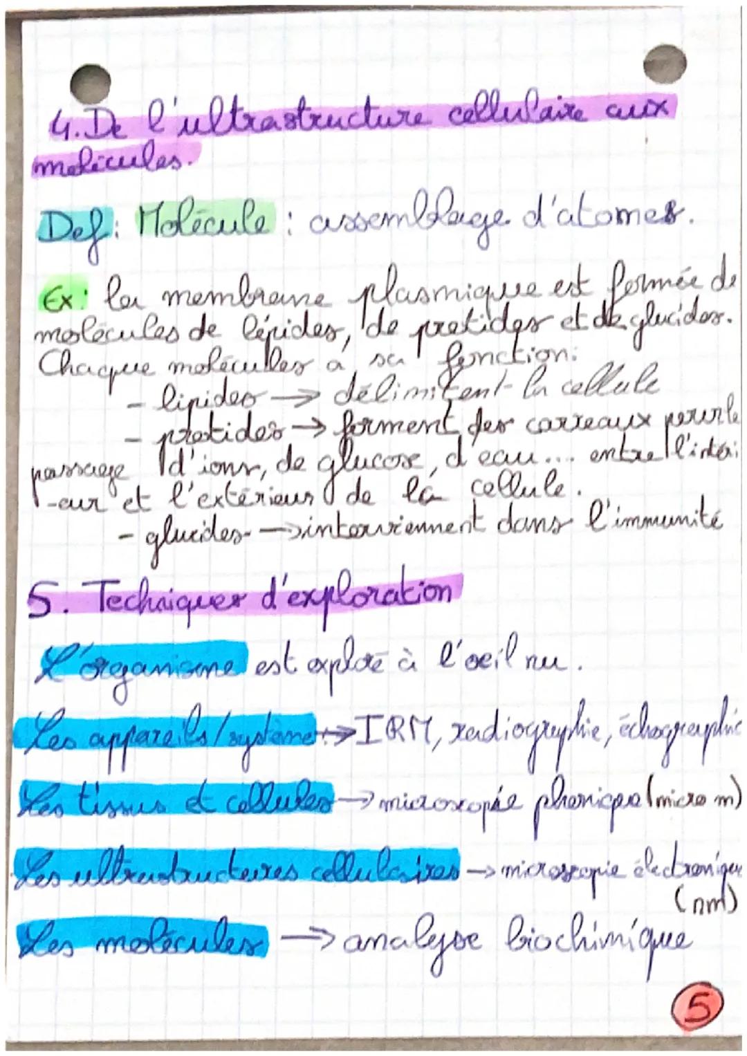 • bickype.phyr pathologjie, kumone.
4. de l'organe
auxe tissus
Def Organes: unite anatomique, constituée de plusie
des fonction(s) precios
t