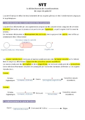 Know Le déclenchement des transformations du corps à la puberté  thumbnail