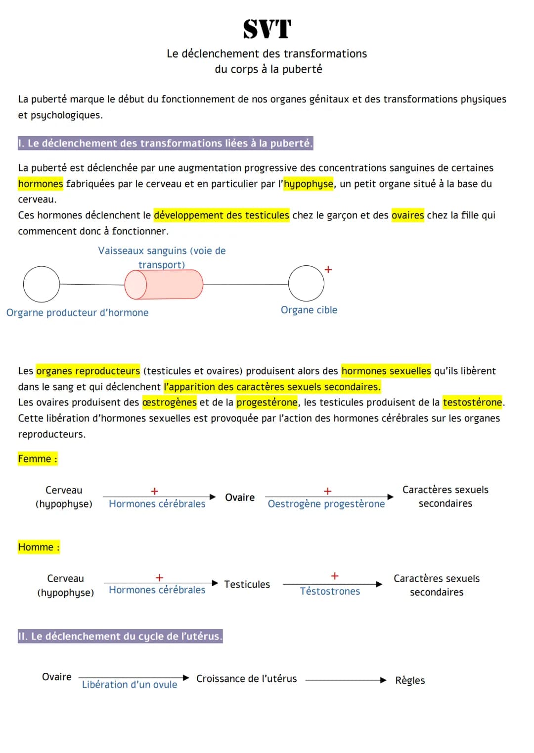 La puberté marque le début du fonctionnement de nos organes génitaux et des transformations physiques
et psychologiques.
I. Le déclenchement