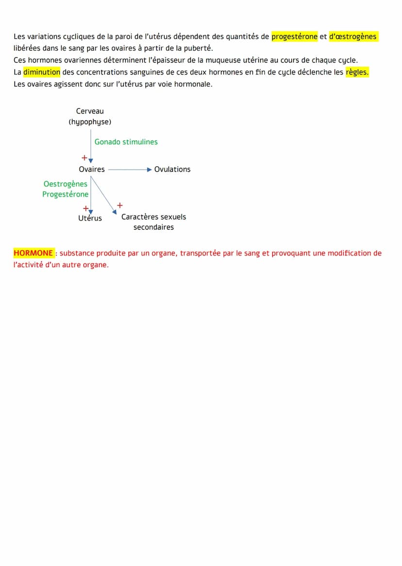 La puberté marque le début du fonctionnement de nos organes génitaux et des transformations physiques
et psychologiques.
I. Le déclenchement