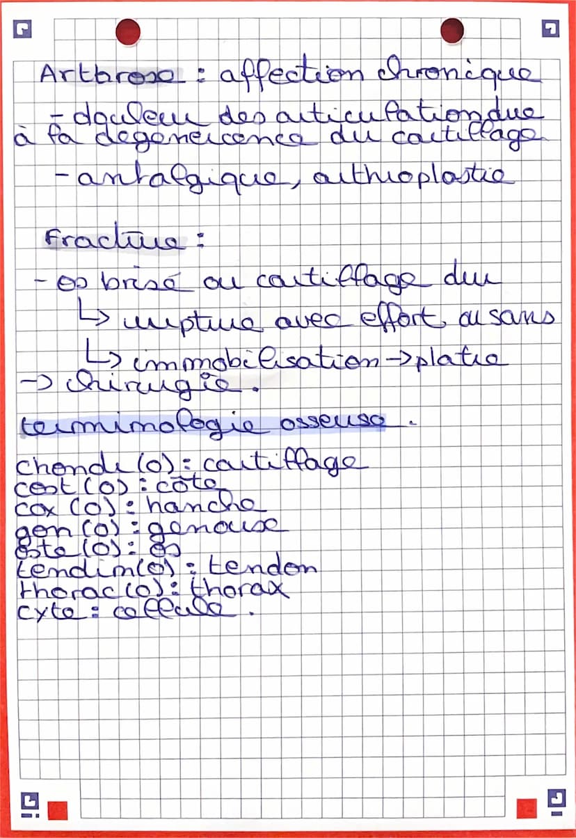 G
Chap. 2.21.
Radiographie : Rayon se -> absorbe
tissus
claire /blanc. →> opacité aux rayon us
Eessa deno
fonco > darte aux lagen Joe
eissu 