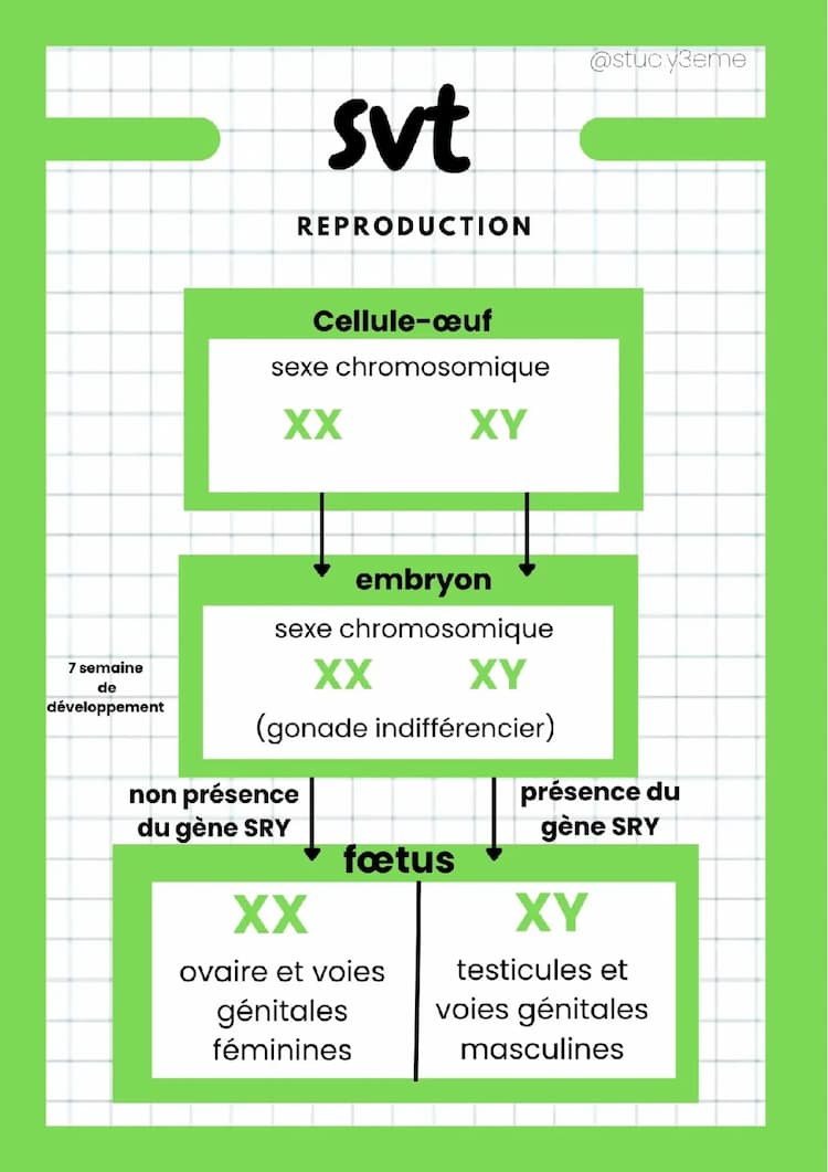 Know Reproduction  thumbnail
