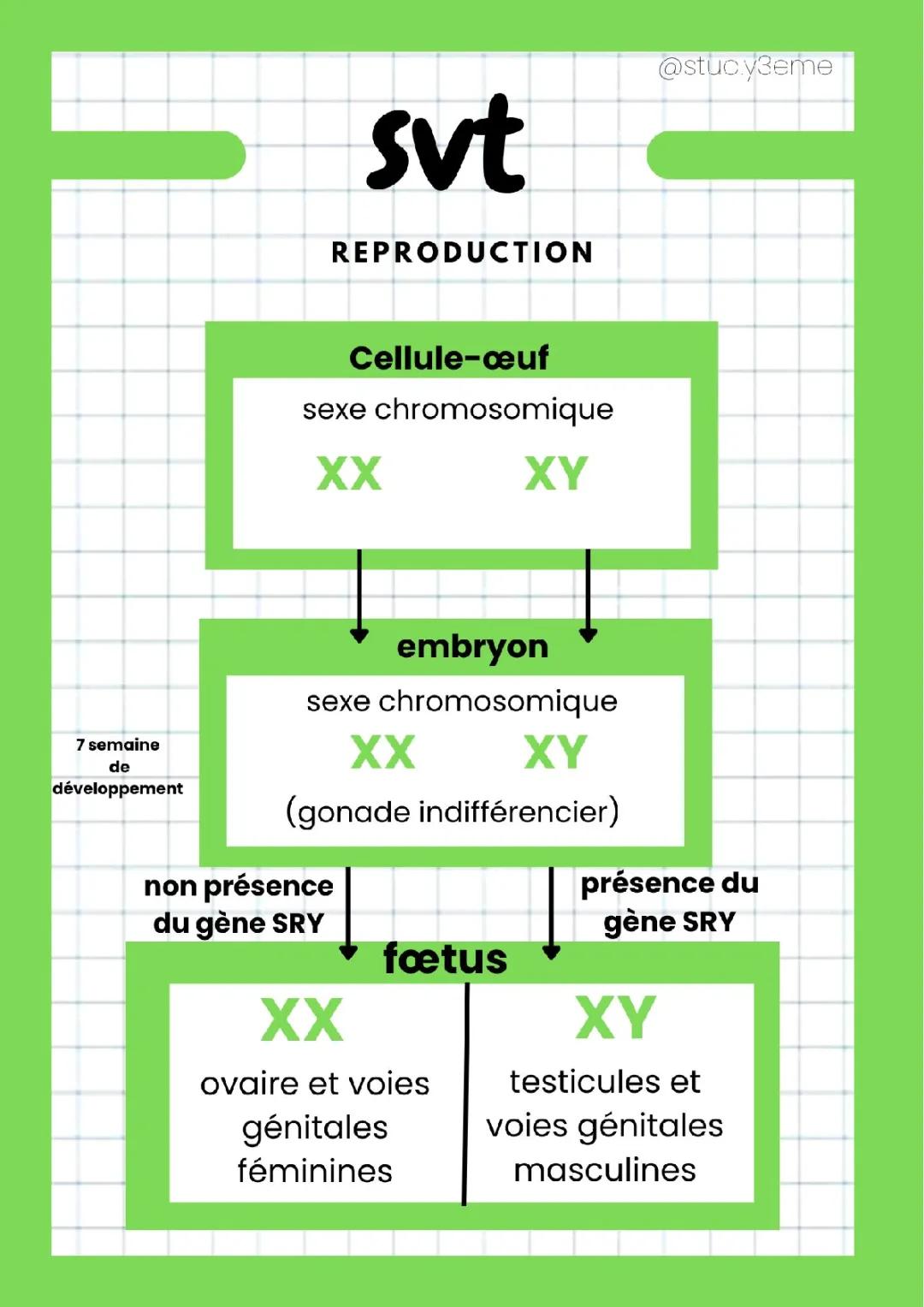 Reproduction 