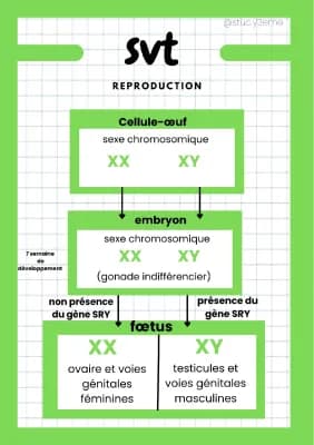 Know Reproduction  thumbnail