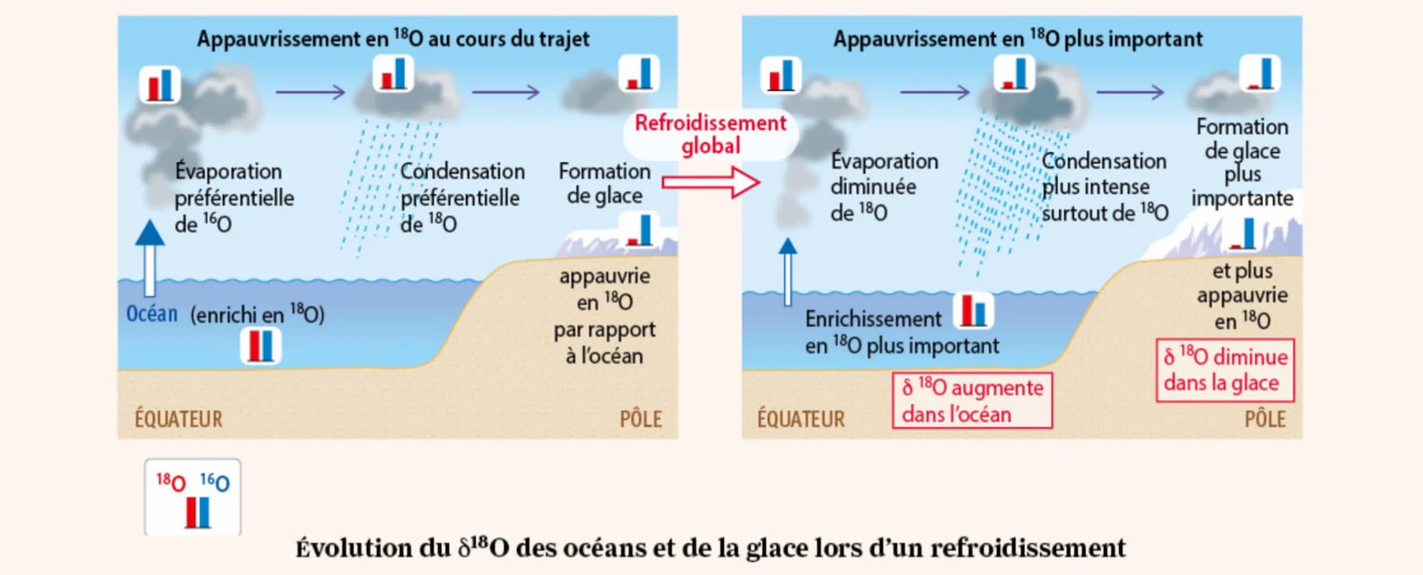 Archives disponibles
permettant de connaître
les paléoclimats
Peintures rupestres et
Pollens
40 000
ans
Rapports isotopiques
* dans la glace