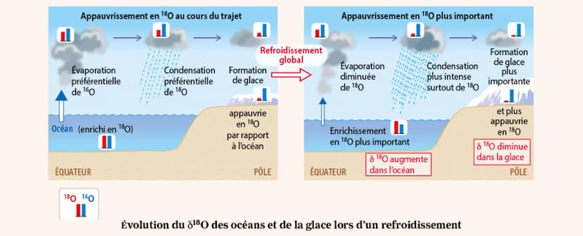 Archives disponibles
permettant de connaître
les paléoclimats
Peintures rupestres et
Pollens
40 000
ans
Rapports isotopiques
* dans la glace