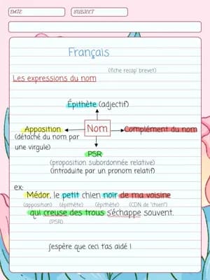 Know Les expressions du nom thumbnail