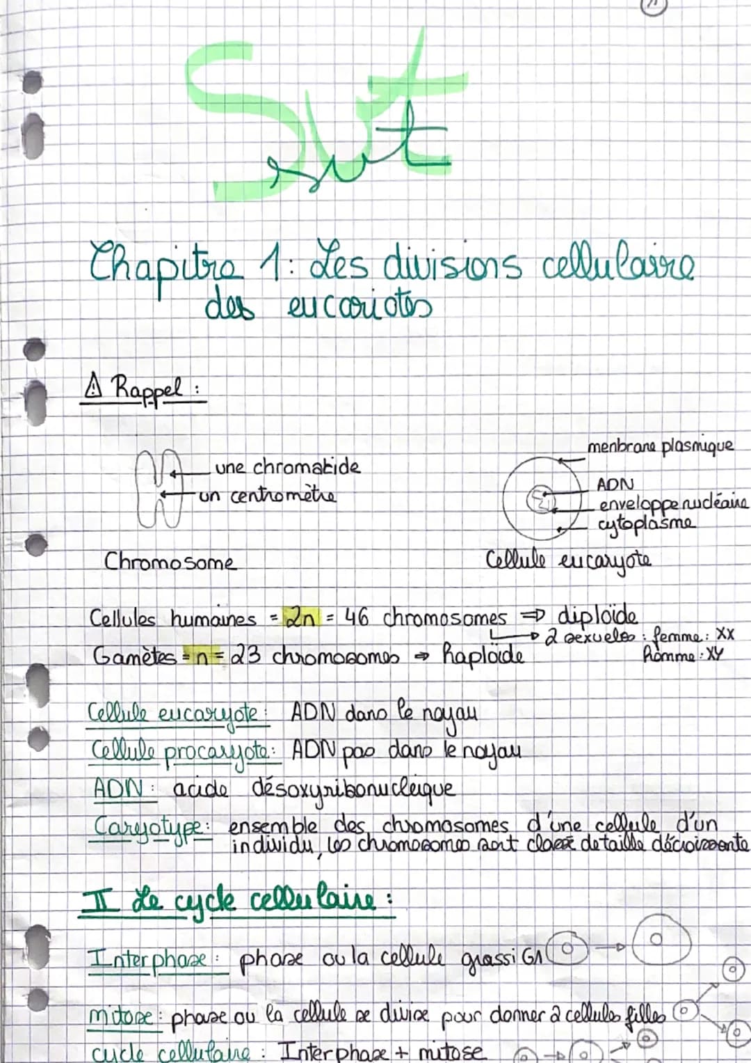 ; Sut
Chapitre 1: Les divisions cellulaire
des eucariotes
A Rappel :
NA
une chromatide
-un centromètre
Chromosome
menbrane plasmique
ADN
env