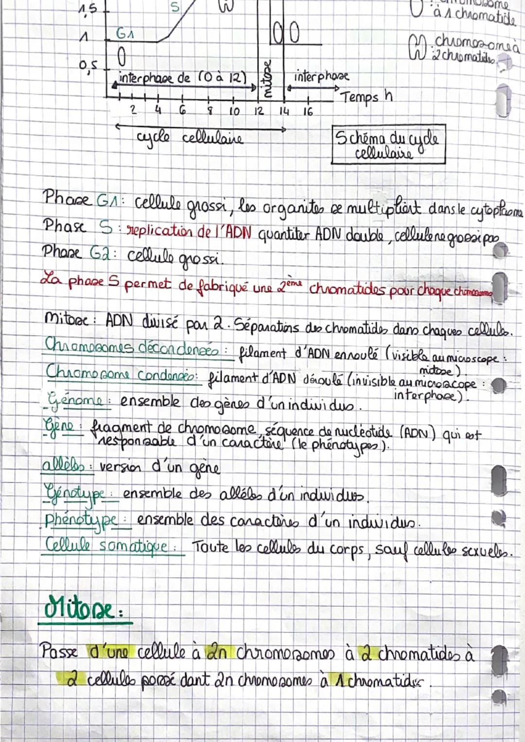 ; Sut
Chapitre 1: Les divisions cellulaire
des eucariotes
A Rappel :
NA
une chromatide
-un centromètre
Chromosome
menbrane plasmique
ADN
env