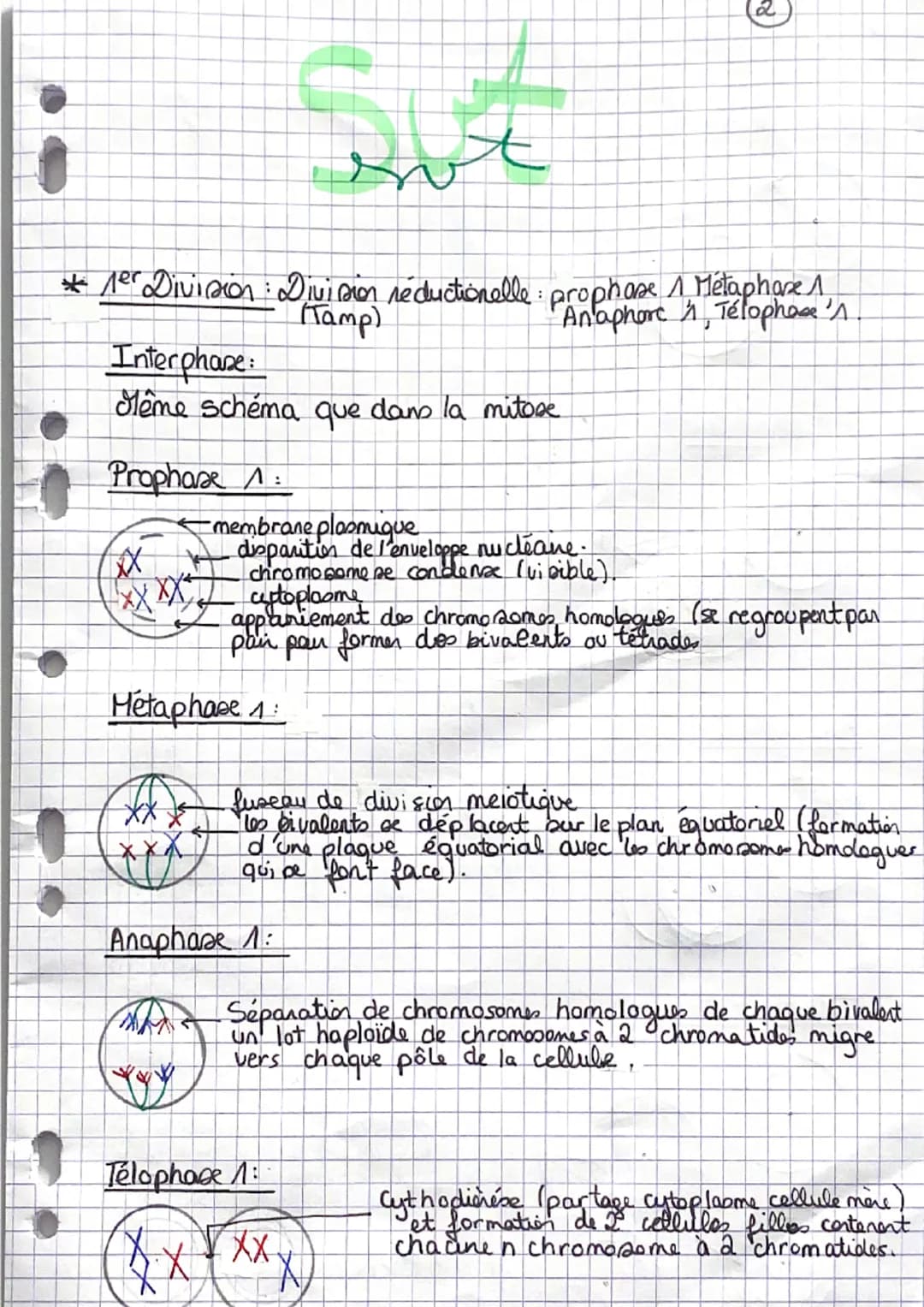 ; Sut
Chapitre 1: Les divisions cellulaire
des eucariotes
A Rappel :
NA
une chromatide
-un centromètre
Chromosome
menbrane plasmique
ADN
env