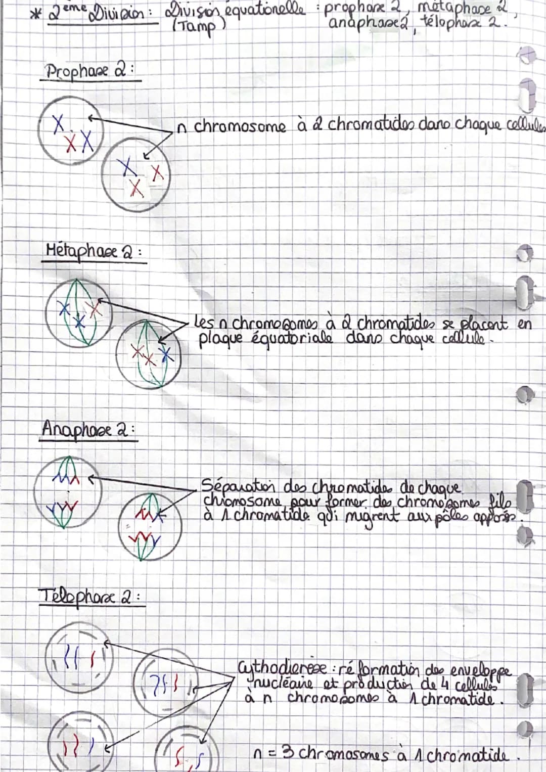 ; Sut
Chapitre 1: Les divisions cellulaire
des eucariotes
A Rappel :
NA
une chromatide
-un centromètre
Chromosome
menbrane plasmique
ADN
env