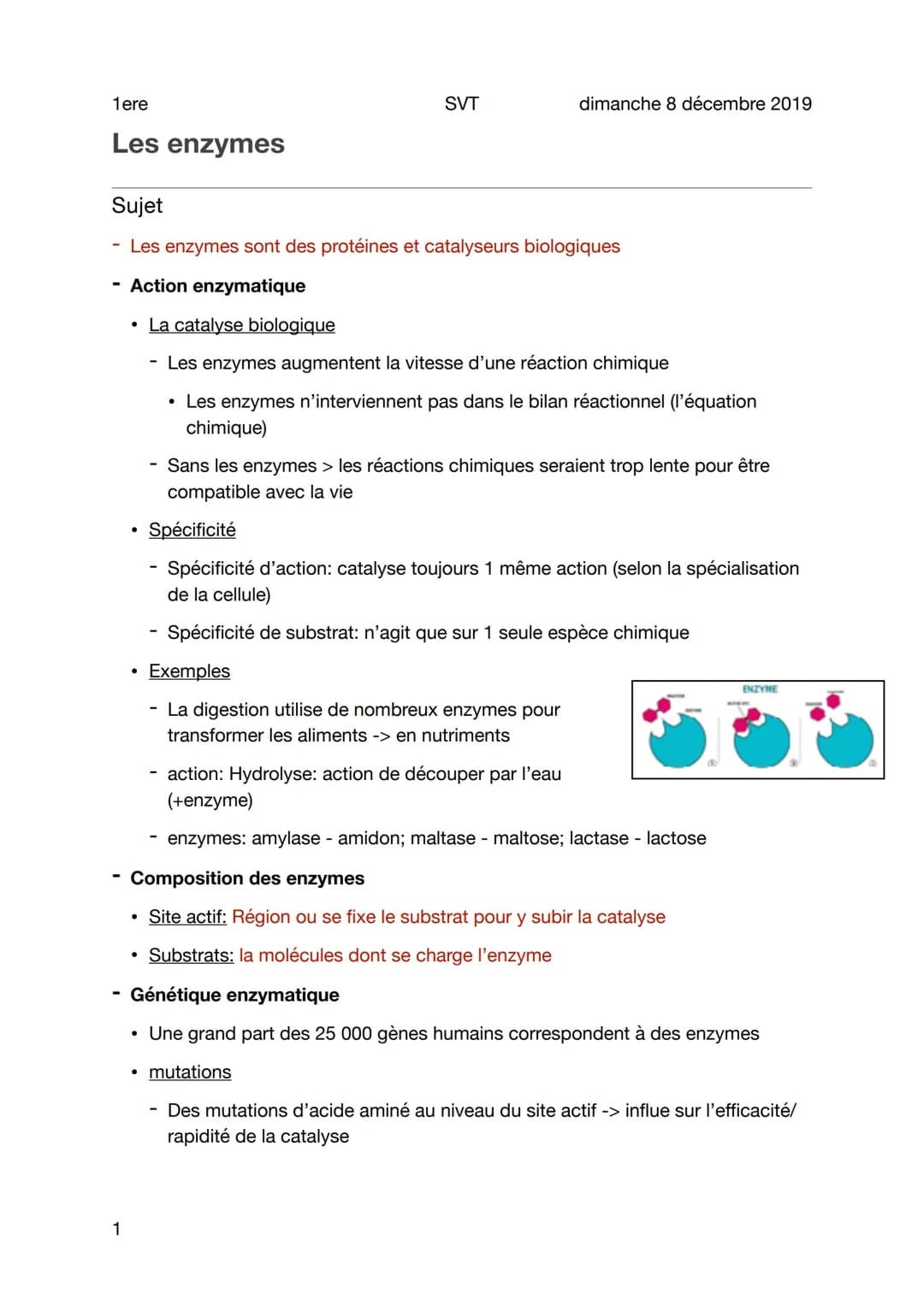 1ere
Les enzymes
1
Sujet
Les enzymes sont des protéines et catalyseurs biologiques
Action enzymatique
• La catalyse biologique
- Les enzymes