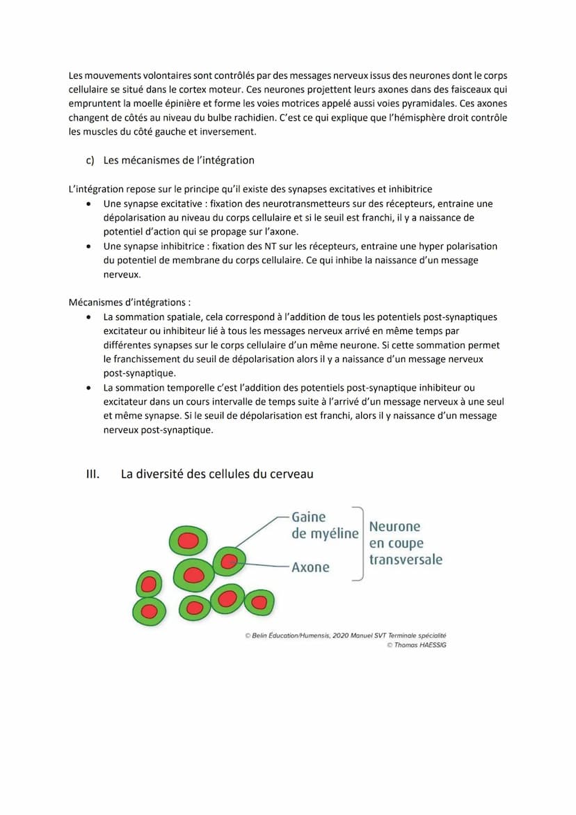 Chapitre 12
I.
Comment le cerveau intervient-il dans la commande de
mouvements volontaires ?
Introduction
LE CERVEAU
L'encéphale c'est le ce