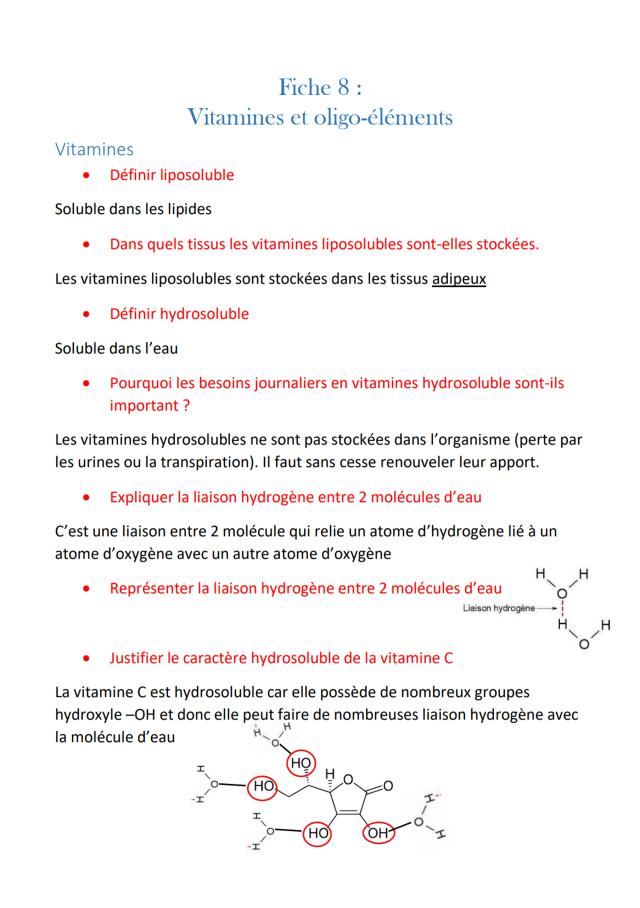 Know Fiche- Vitamines et oligo-éléments thumbnail