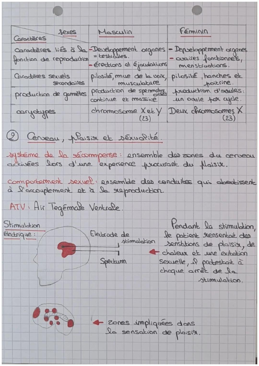 S.V.T
chapitre 5 procrection, hormones et sexualité
a
=> les étapes de la fécondation et de la
nidation de l'embryon:
remonte
des
spermatozo