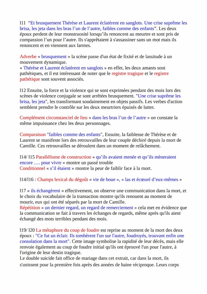 Fiche synthèse n°19
INTRODUCTION: Émile Zola, l'un des écrivains les plus influents du XIXe
siècle, a laissé une empreinte indélébile dans l