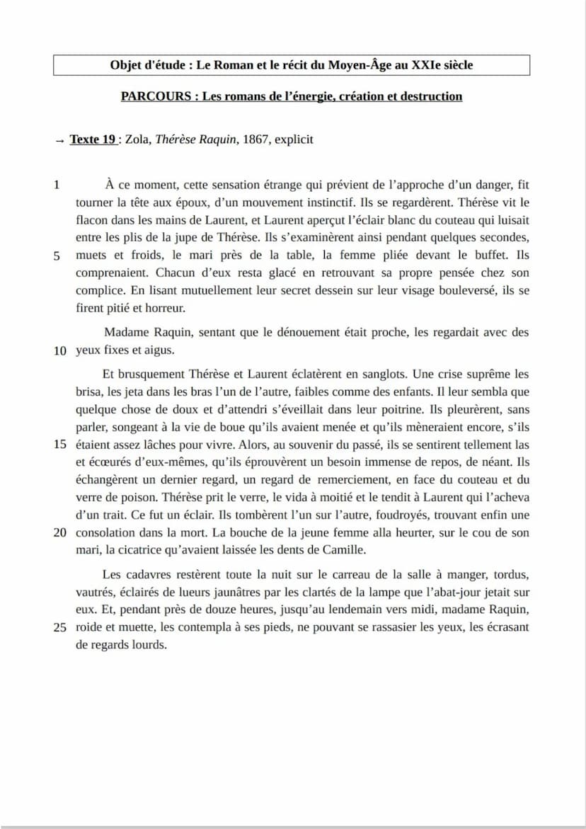 Fiche synthèse n°19
INTRODUCTION: Émile Zola, l'un des écrivains les plus influents du XIXe
siècle, a laissé une empreinte indélébile dans l