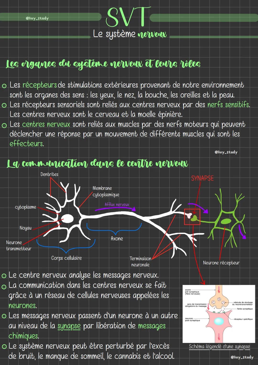 @livy_study
Les organes du système nerveux et leurs rôles
o Les récepteurs de stimulations extérieures provenant de notre environnement
sont