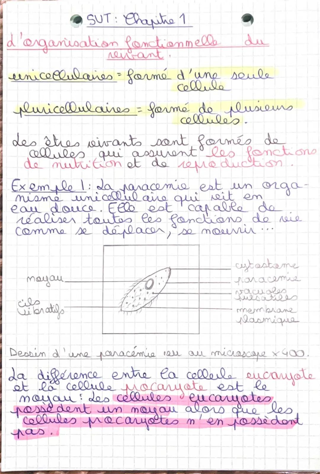 Organisation fonctionnelle du vivant (cellules êtres vivants/végétaux)