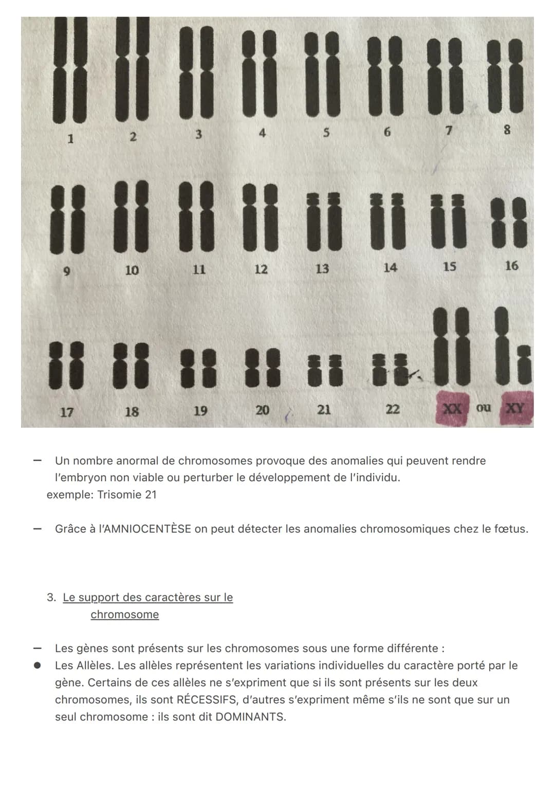 Fiche Révisions
Sciences
Génétique
1. Caractères et variations de l'espèce
exemple:
Chaque caractère peut représenter des variations individ