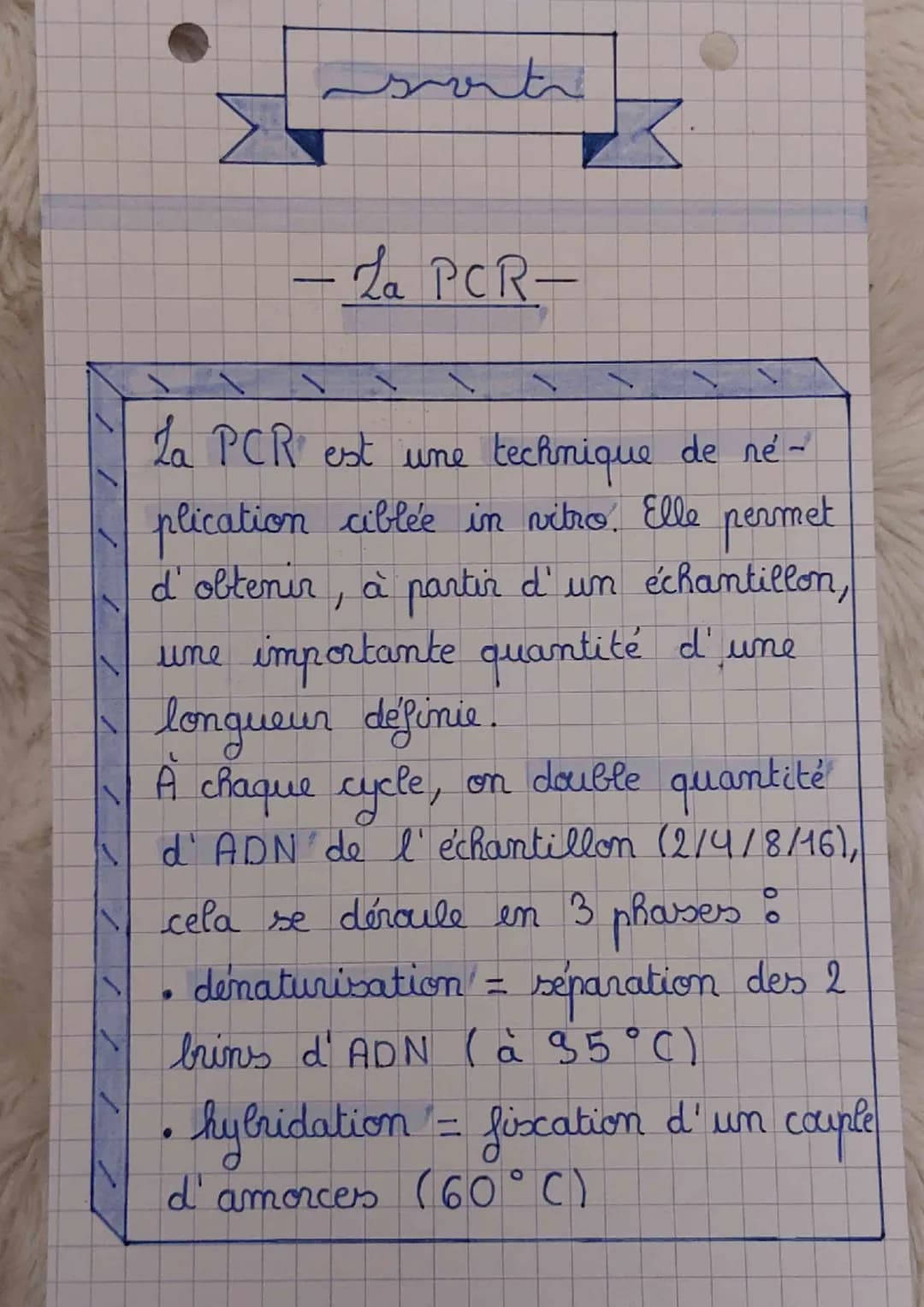 sort
L
A
- La PCR-
La PCR est une
technique de ne-
plication ciblée in vitro. Elle permet
d'obtenir, à partir d'un échantillon,
une importan