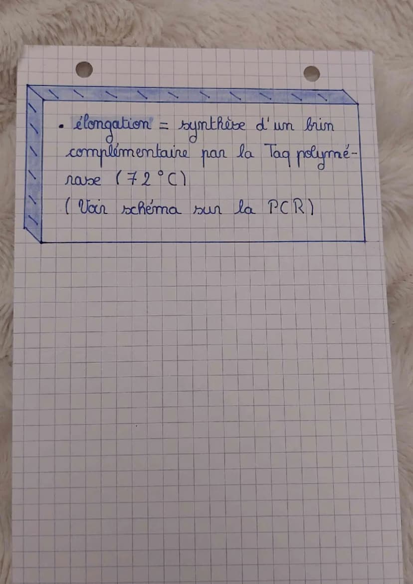 sort
L
A
- La PCR-
La PCR est une
technique de ne-
plication ciblée in vitro. Elle permet
d'obtenir, à partir d'un échantillon,
une importan
