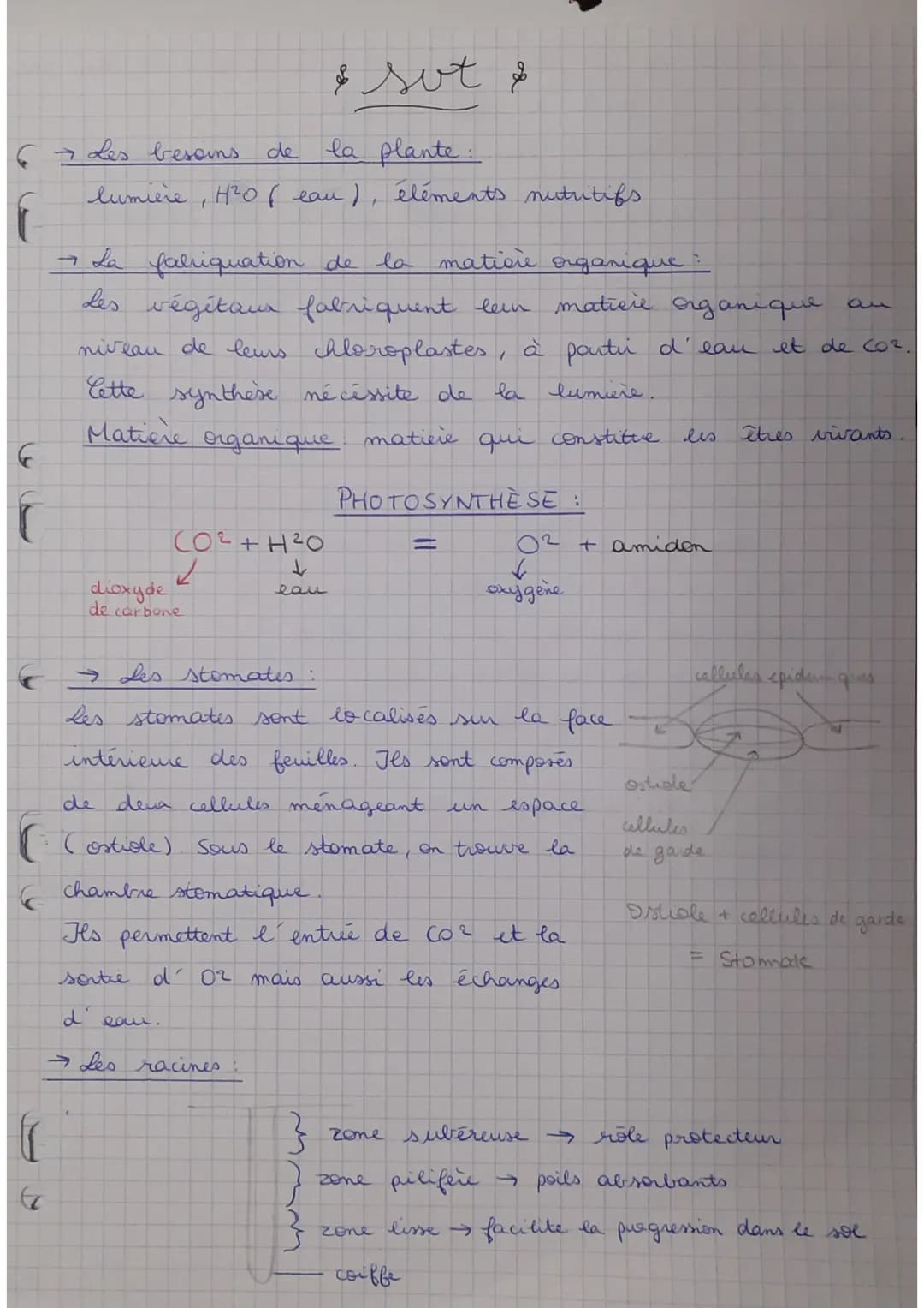 6 → Les besoins de la plante:
G
f
G
& sot &
lumière, H²0 ( eau), éléments nutritifs
→ La fabriquation de la mation organique :
Les végétaux 