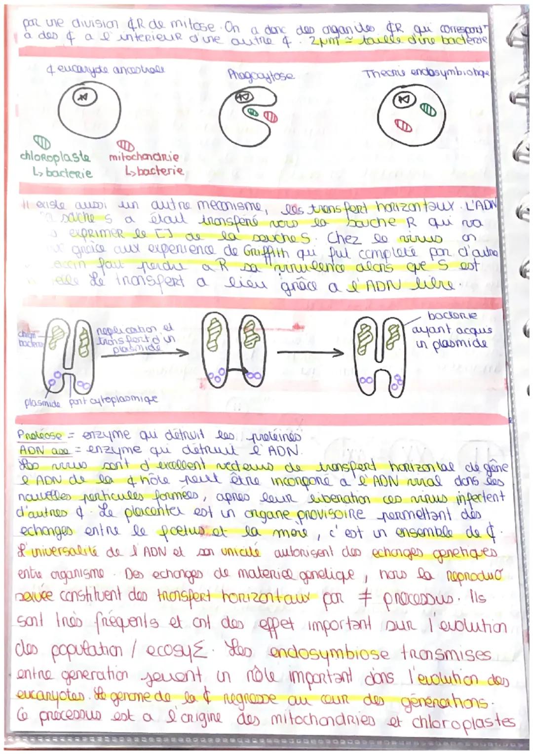 # GENETIQUE

da biodiversité intraspecifige = carere de I' Homme.
deo indir d'une méme espero presente des (phenolype] ≠ que depend de burs
