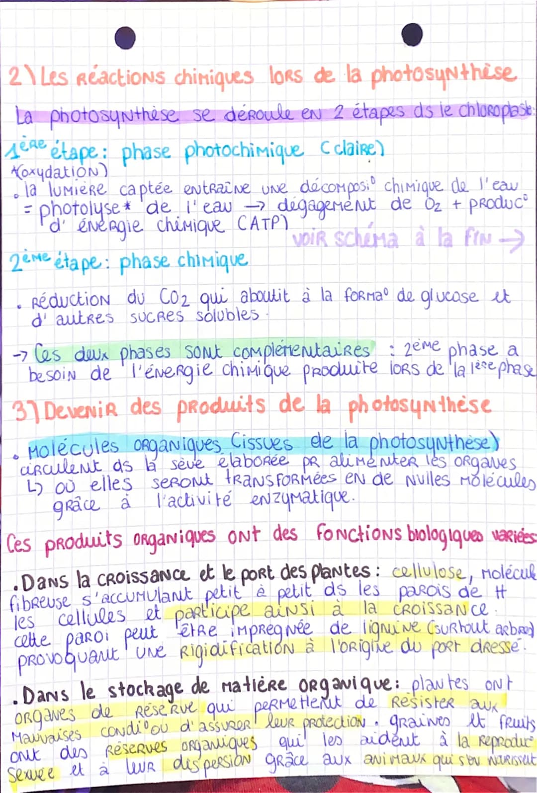 La plante,
Productrice
de ratière
S.VT spe
Organique
1) La photo synthèse produit la matière organique
permet
→
energie de la lumière photos