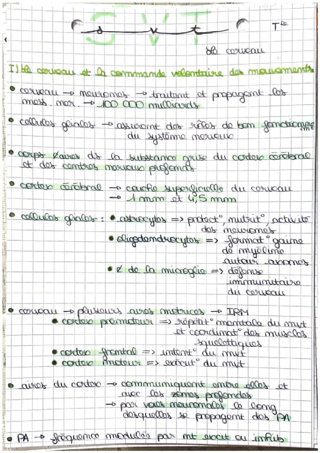 La plasticité cérébrale et la motricité volontaire : Fiche de révision SVT Terminale