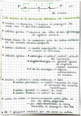 Know Fiche de révisions Le cerveau : plasticité et rôle dans la motricité  thumbnail