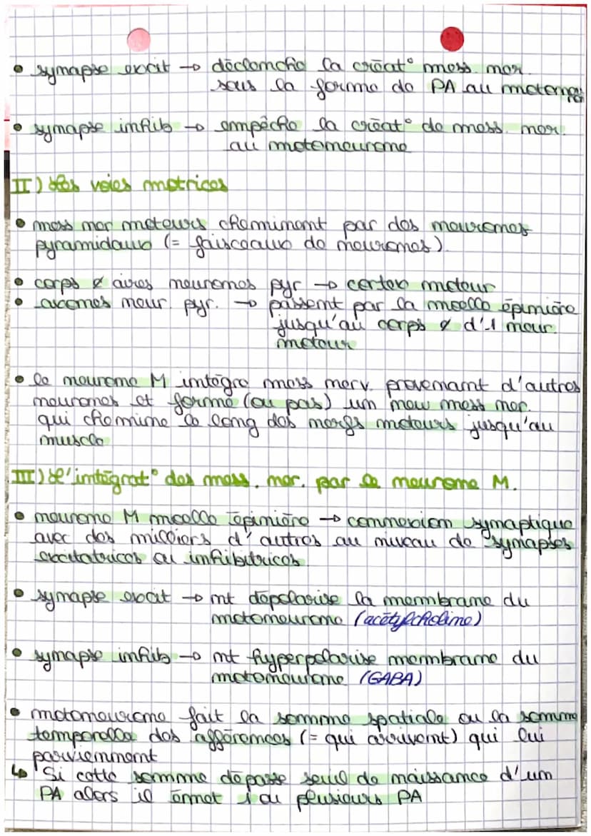 C
s
t
de cerveau
I') the correau et la commande volontaire des mouvements
• cerveau → neuromes - traitent of propagent les
mess mer → 100 00