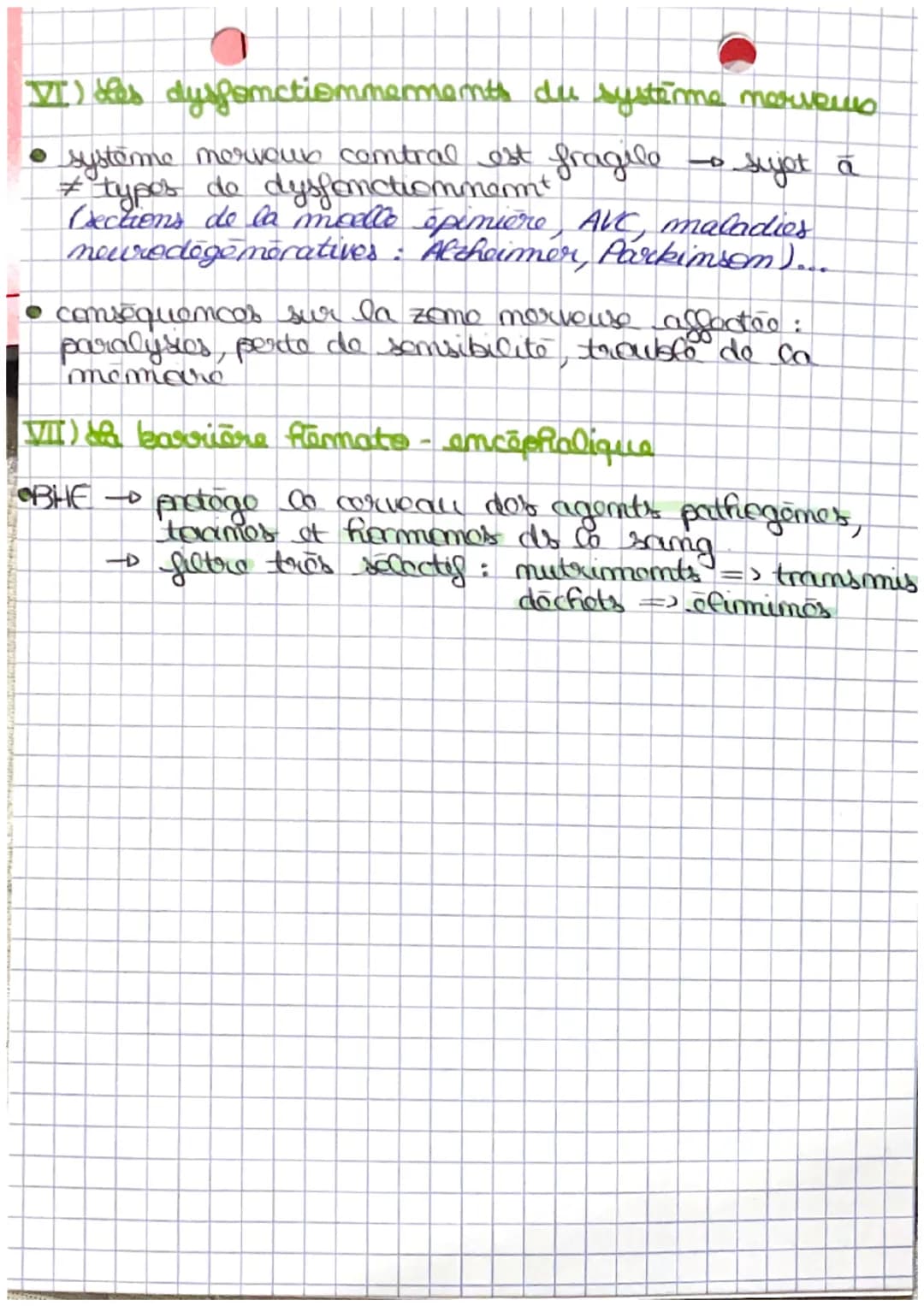 C
s
t
de cerveau
I') the correau et la commande volontaire des mouvements
• cerveau → neuromes - traitent of propagent les
mess mer → 100 00