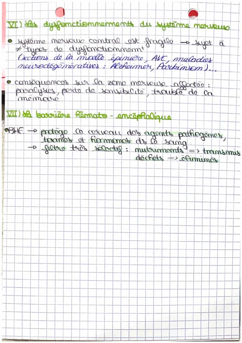 C
s
t
de cerveau
I') the correau et la commande volontaire des mouvements
• cerveau → neuromes - traitent of propagent les
mess mer → 100 00
