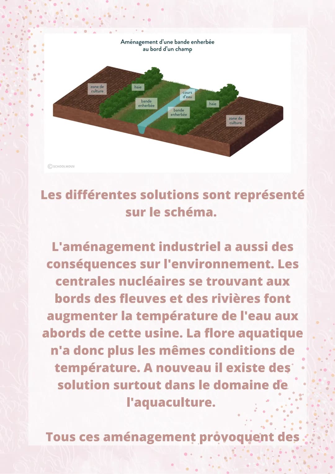 LA MODIFICATION
DE L'ECOSYSTÈME
PAR L'HOMME
L'homme aménage l'environnement pour
ses besoins et contruit principalement
des villes, des usin