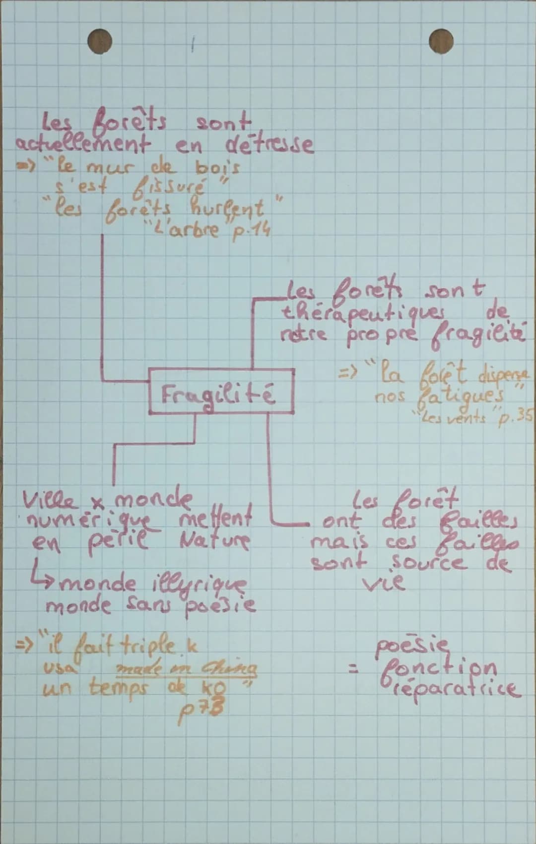 Les forêts sont
actuellement en détresse
=>"Le mur de bois
s'est fissuré
'les forêts hurlent
"L'arbre p.14
Fragilité
"
les forêts sont
théra