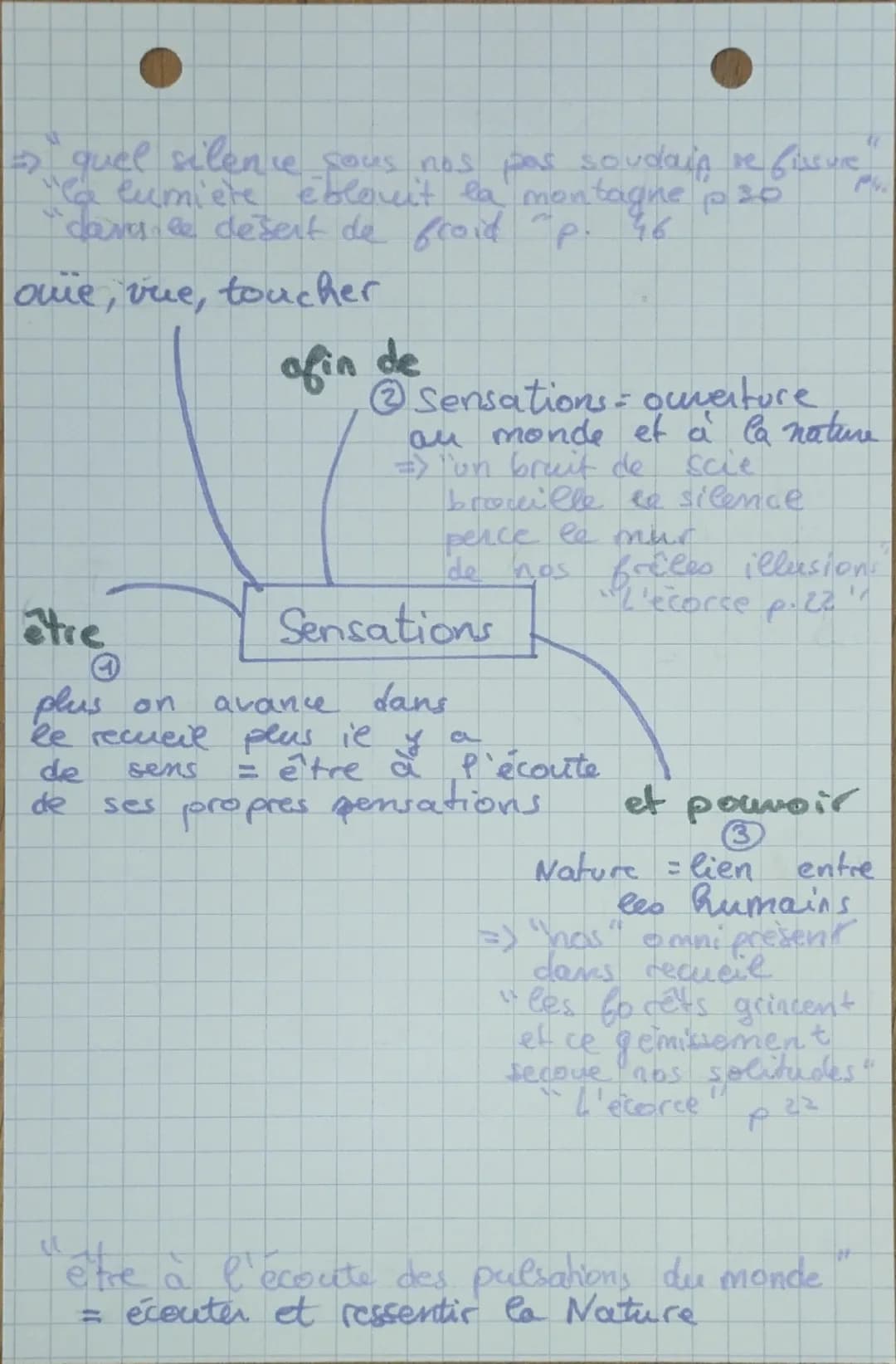 Les forêts sont
actuellement en détresse
=>"Le mur de bois
s'est fissuré
'les forêts hurlent
"L'arbre p.14
Fragilité
"
les forêts sont
théra