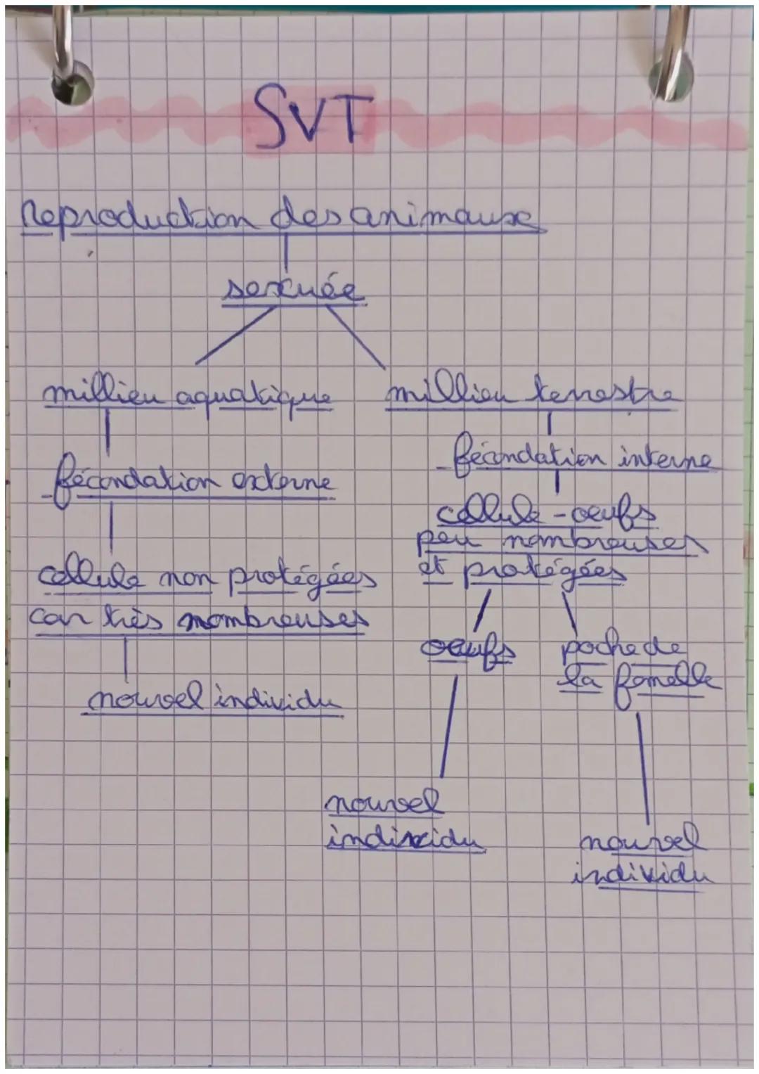 SVT

Reproduction des animause

sexuée

millien aquatique million temestre

fécondation externe -Becondation interne

cellule non protégées 