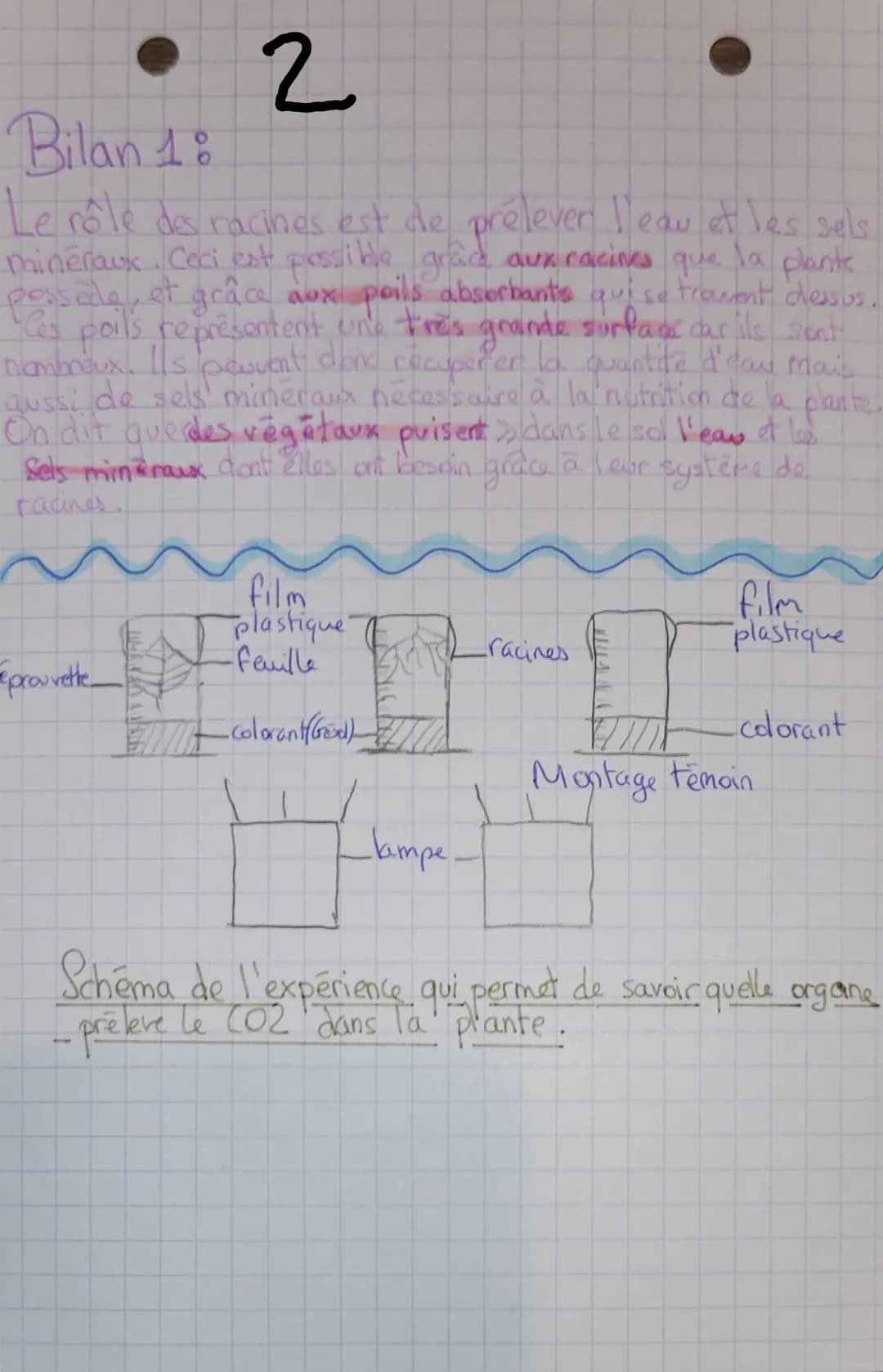 cellule de la
feuille
Sof
HUON
n
ostide cellule stomatique
stomate
Bilan 2:
Chez les végétaux, les feuilles ont la capacité de
prélever le d