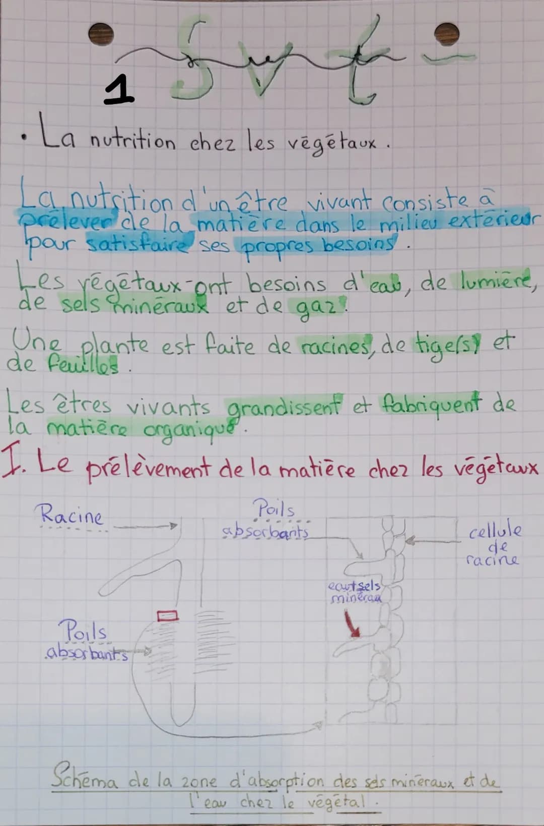 cellule de la
feuille
Sof
HUON
n
ostide cellule stomatique
stomate
Bilan 2:
Chez les végétaux, les feuilles ont la capacité de
prélever le d