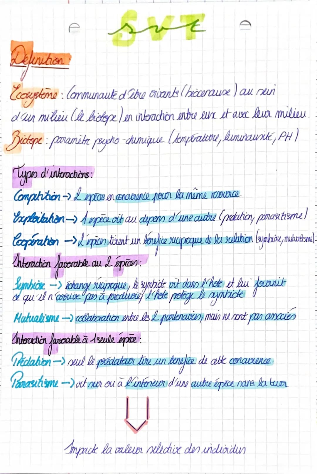 Découvre les Services Écosystémiques et les Interactions dans un Écosystème