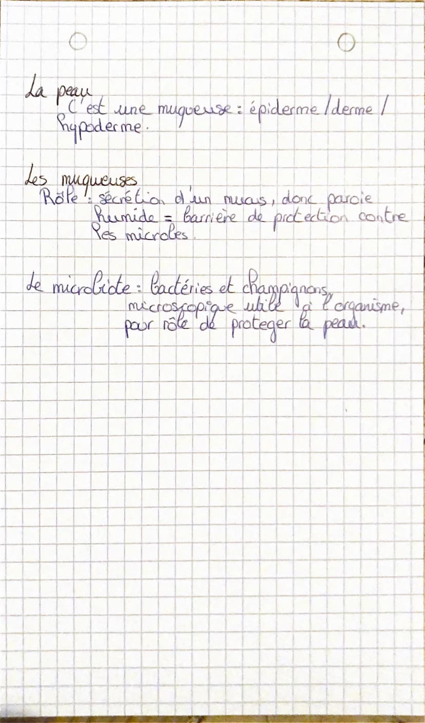 Bio
Chapitre 1
Les greffes:
- Autogreje → donneur = receveur
ffe → même info génétige (ex: jumeause)
→ même injo génétique (e: in famille
(e