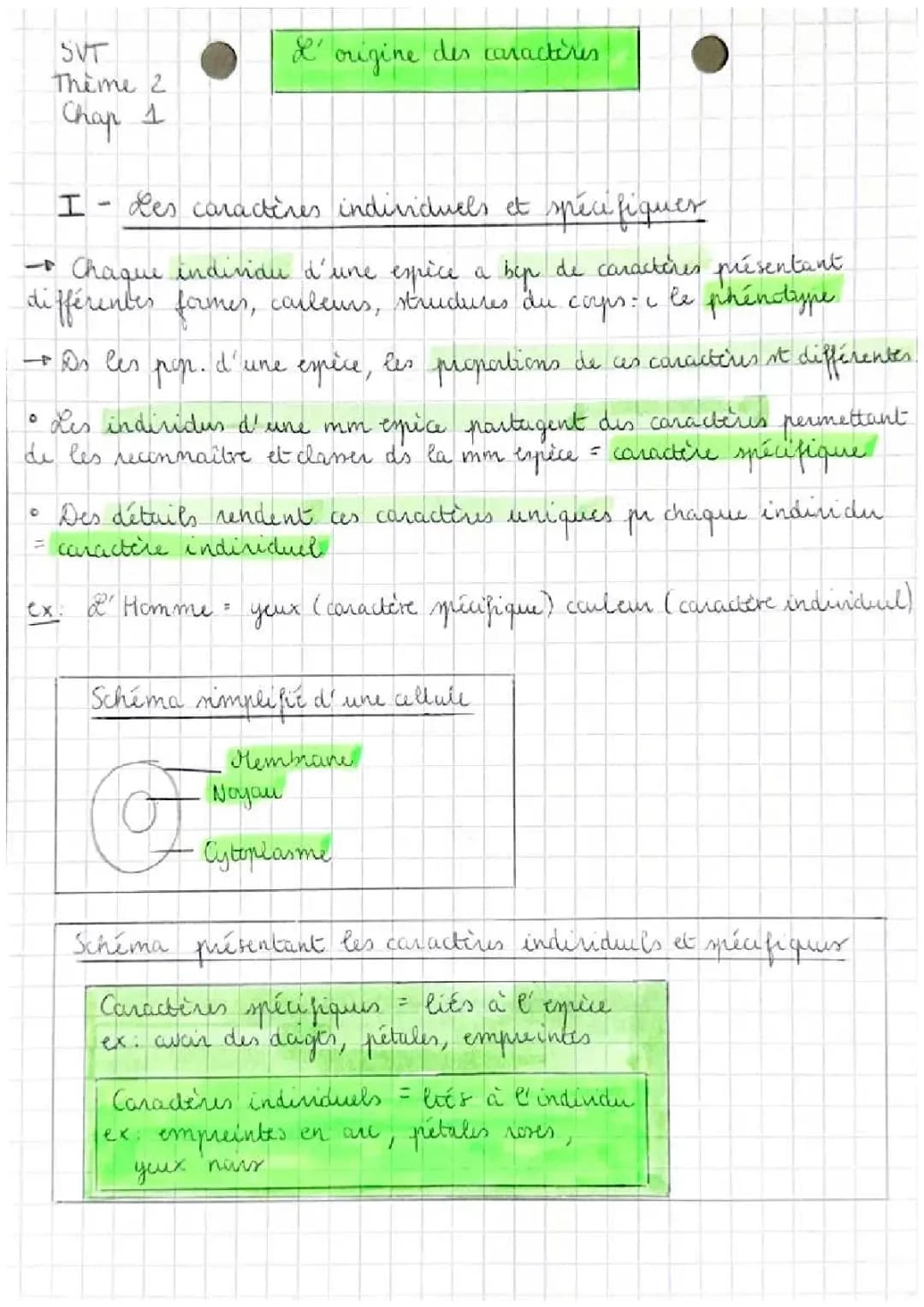 L’origine des caractères 