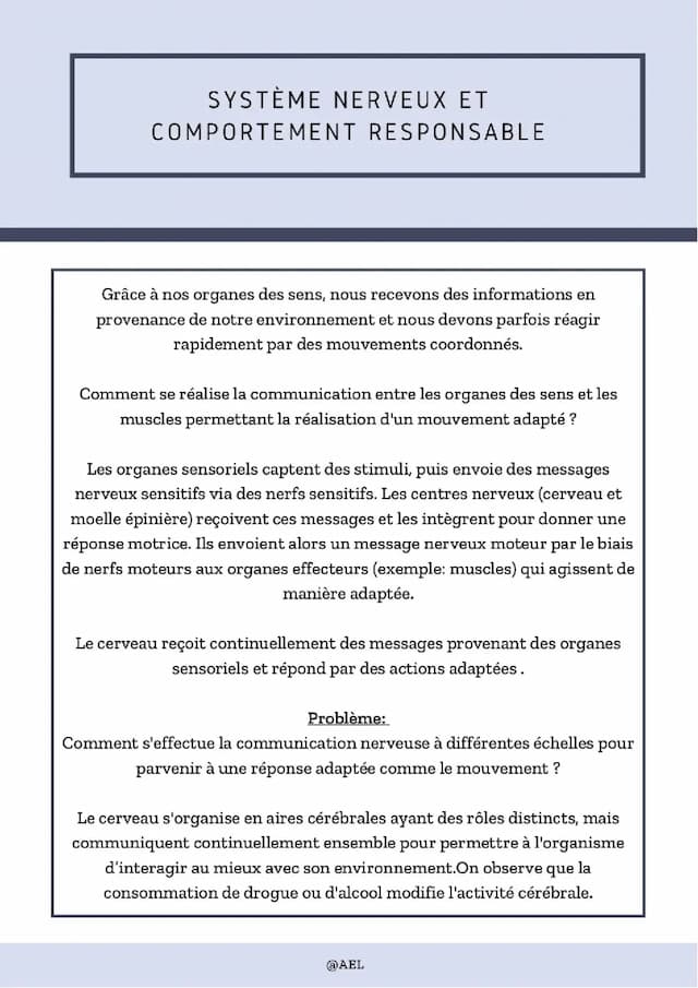 Know Système Nerveux et Comportement Responsable  thumbnail